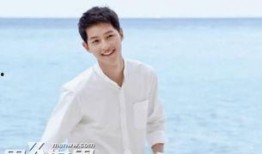 宋仲基新闻最新爆料,细节揭秘引网友热议