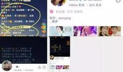 仙家八卦爆料视频大全集,视频大全集深度解析