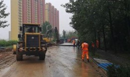 新华路最新爆料事件真相,揭秘背后惊人内幕