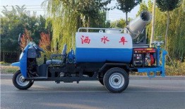 吉林三轮车停车爆料视频,视频曝光停车难题