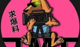 娱乐吃瓜找导演,娱乐吃瓜背后的故事