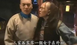 李辞官在线观看,揭秘官场风云，在线观看带你领略职场智慧