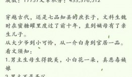 爆料娱乐圈小说完结了吗,真相大白，小说终章揭晓