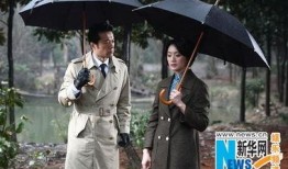 电视剧暗花在线观看,揭秘神秘暗网世界的惊心动魄