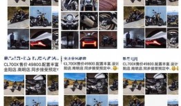 春风自驾游爆料视频播放,沿途美景与趣事大揭秘！