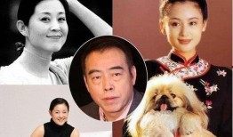 倪萍爆料停车视频大全播放,视频大全引发网友热议