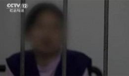 南京女子爆料事件始末视频,真相与争议交织的舆论漩涡