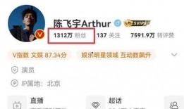 王四粉丝爆料视频大全集,揭秘明星幕后故事