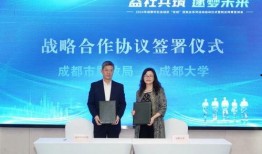 成都民政局最新爆料新闻,揭秘社区养老服务改革进展与挑战