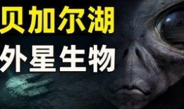 真实视频爆料未知生物,揭秘地球生物新篇章