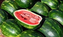 吃瓜娱乐圈图画高清版,高清版“吃瓜”图鉴揭秘