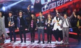 中国好声音第四季在线观看,巅峰对决，在线视听盛宴