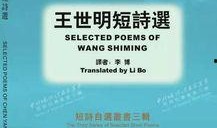 青年作家爆料新闻报道,新闻背后的真实爆料