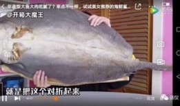 美女被鲨鱼爆料视频,美女意外遭遇神秘爆料