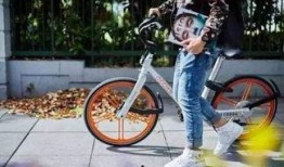 石家庄单车爆料最新消息,最新动态揭示城市共享单车发展新趋势