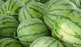 怎么免费吃瓜,轻松解锁瓜界盛宴