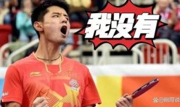 张继科爆料视频最新版,背后真相令人震惊