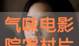 味道在线观观看,味道在线观感解析