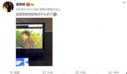 暑假最新爆料事件视频播放,揭秘热门事件幕后真相