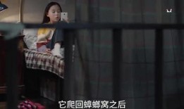 爆料视频见儿子的视频,视频曝光，儿子与父亲温馨互动瞬间