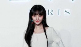 娱乐圈揭秘爆料郑爽,真相与争议背后的故事