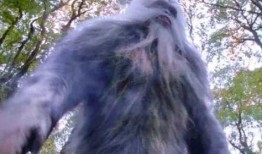 斗罗大陆真香爆料视频,揭秘剧情高潮与角色命运转折