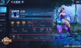 王者最新八点爆料视频