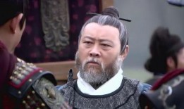 李辞官在线观看,揭秘官场风云，在线观看带你领略职场智慧