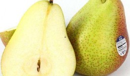 大鸭梨的爆料怎么做的视频,视频制作全攻略