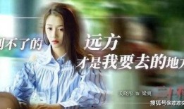 二十不惑2娱乐大爆料,娱乐大爆料，明星幕后故事大公开！