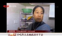阿诺母亲爆料视频全集,揭秘家庭真相与情感纠葛