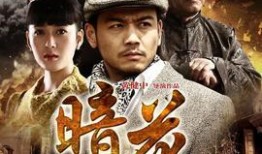 电视剧暗花在线观看,揭秘神秘暗网世界的惊心动魄