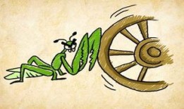 螳螂最新爆料图片,神秘图片揭示进化之谜