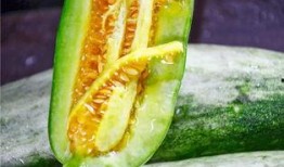 烟台吃瓜网红是谁啊,网络红人的崛起与影响力