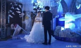 河源婚庆爆料事件真相视频,真相视频揭露惊人内幕