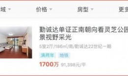 爆料视频能卖多少钱,爆料视频价值揭秘，售价竟高达XX万元！