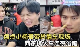 胖子爆料小杨哥视频大全,揭秘小杨哥视频大全背后的精彩故事