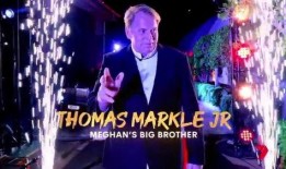 梅根哥哥爆料视频大全集,揭秘王室秘闻与家庭纠葛