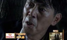 铁血锄奸 在线观看,揭秘抗战时期英勇锄奸行动