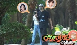 三大狗仔爆料视频在线观看,三大狗仔独家爆料视频大揭秘