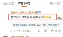 王四粉丝爆料视频大全集,揭秘明星幕后故事