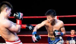 搏击兄弟在线观看,热血激战，在线热血沸腾