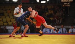 摔跤的爸爸在线观看,传承父爱，激荡赛场