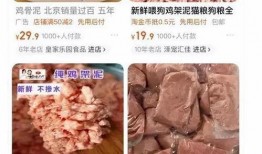 关于淀粉肠爆料的新闻,揭秘食品安全背后的隐忧