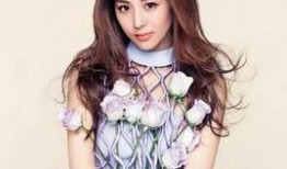 李艺娱乐圈爆料视频最新,揭秘明星幕后真相，独家视频曝光惊人内幕