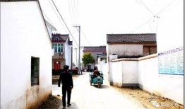 兰陵代村最新爆料事件,揭秘事件背后惊人真相