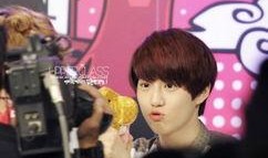 娱乐八卦新闻爆料人员名单,揭秘爆料人员名单大起底