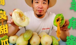 吃瓜群众瓜哥网红,揭秘吃瓜群众的网络传奇