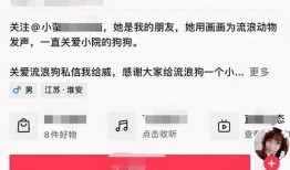 网友爆料救助流浪狗视频,温情瞬间感动网友