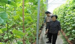 娱乐吃瓜酱是怎么赚钱的,揭秘网红如何通过吃瓜赚钱的秘密